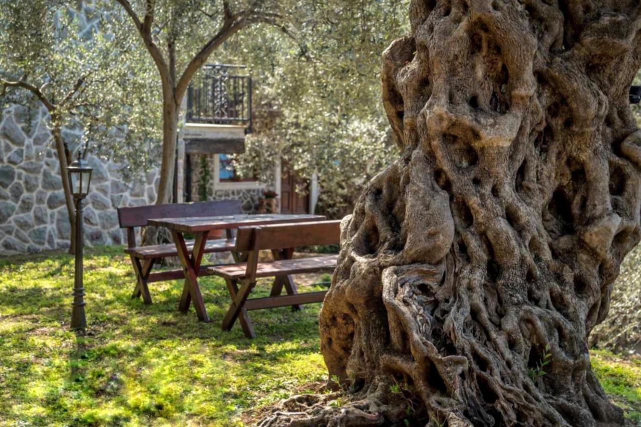 Olive Queen Rustic Estate Bar Exterior foto