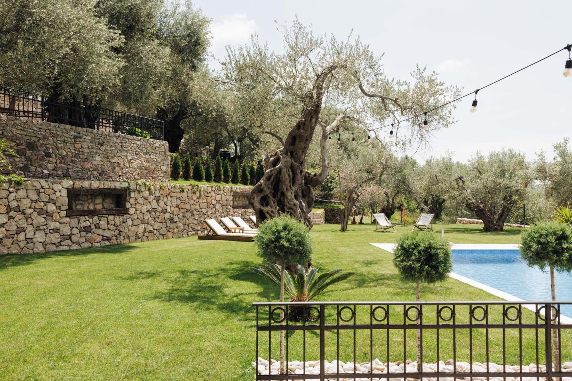 Olive Queen Rustic Estate Bar Exterior foto