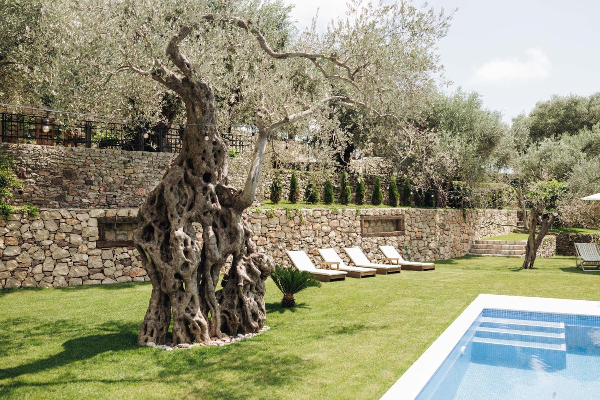 Olive Queen Rustic Estate Bar Exterior foto