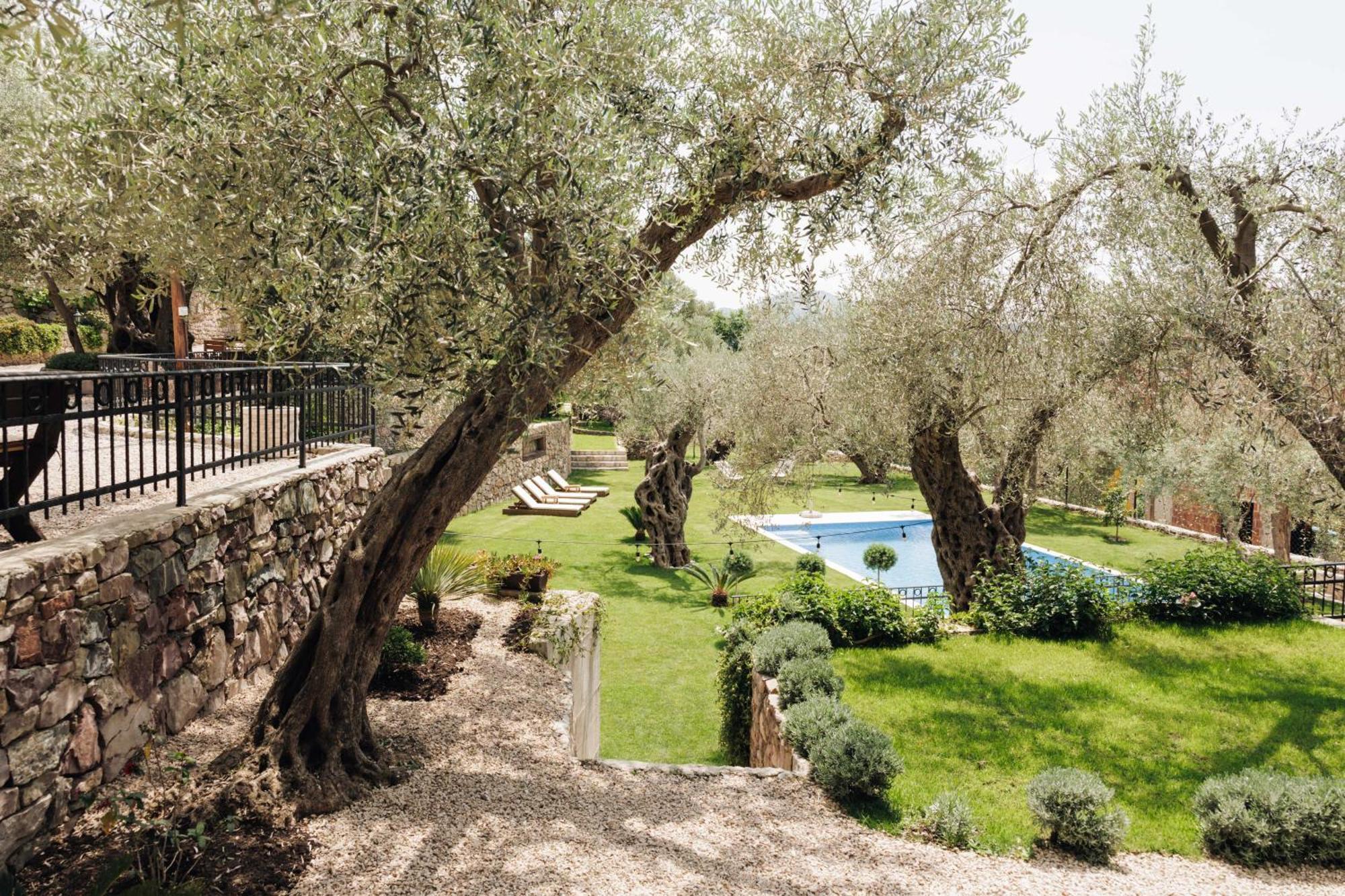 Olive Queen Rustic Estate Bar Exterior foto
