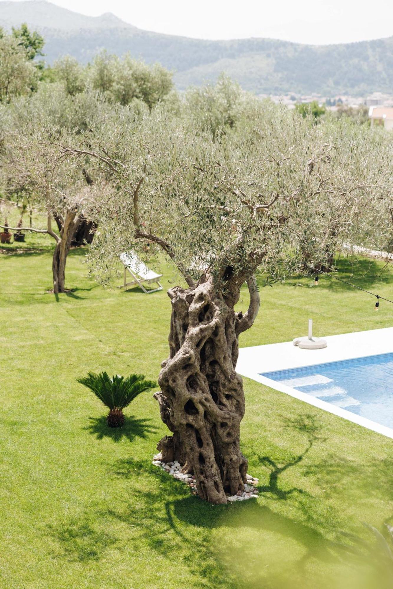 Olive Queen Rustic Estate Bar Exterior foto